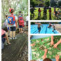 collage di foto dell'evento "centro estivo verdestate" organizzato nel parco di Monza e in Cascina Costa Alta. Nelle foto dei bambini partecipano a varie attività all'aperto.